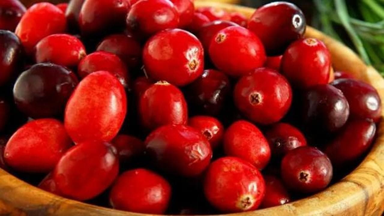 Doğanın Şifa Deposu Kızılcık: Kansere Karşı Kalkan, Vücuda Detoks Etkisi