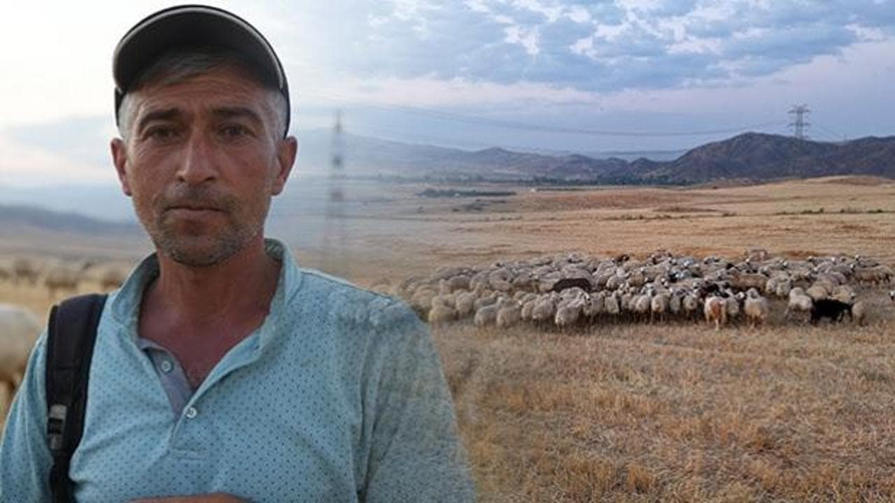 Kırıkkale'de Çobanın İçinde Olduğu Hayvan Hırsızlığı Planı Jandarma Tarafından Çözüldü