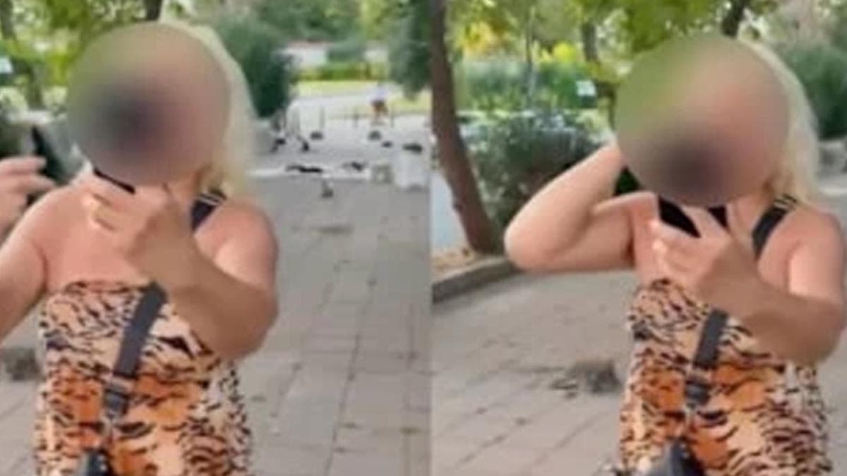 Sokak kedilerini beslemek için yolu trafiğe kapatan kadın psikiyatri kliniğine sevk edildi