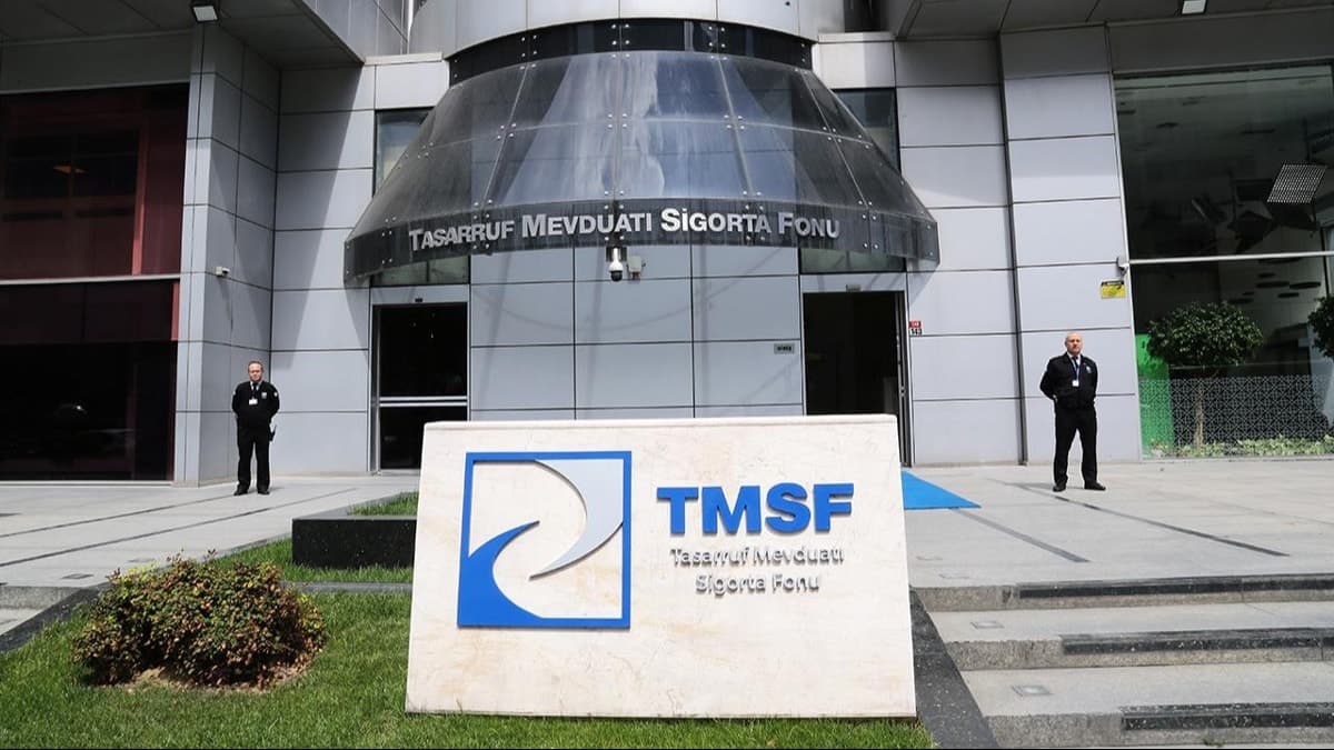 TMSF, kayyum yönetimindeki şirketleri holding çatısı altında topluyor