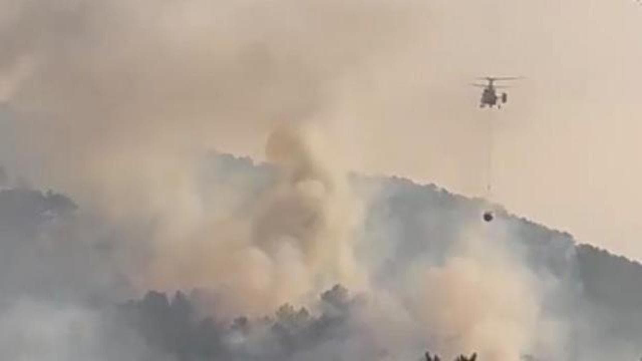 Bolu'nun Göynük ilçesinde orman yangını: Ekipler seferber oldu