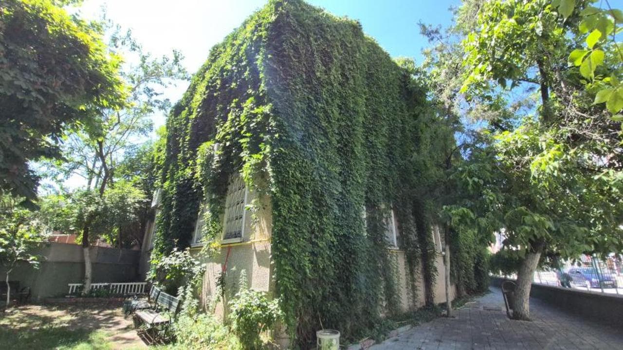 Sarmaşıkların sardığı tarihi cami görenleri büşşeliyor: Eskişehir'in gizli hazinesi