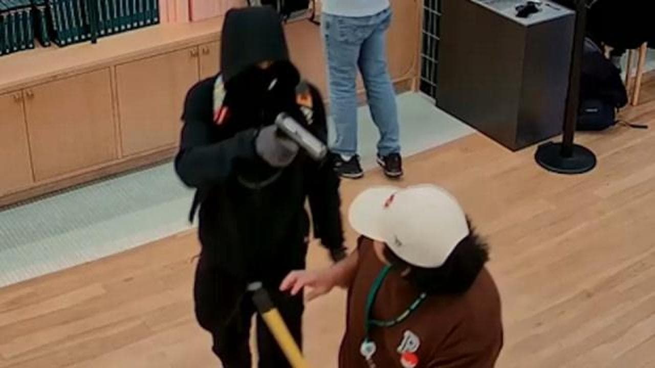Fransa'da şaşırtan soygun: 80 bin euroluk Pokémon kartı çalındı