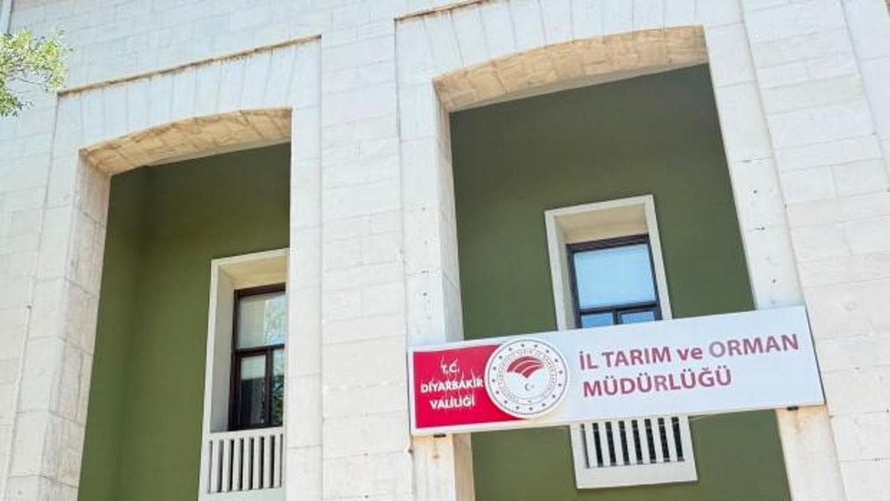 Sokak kedisinin ısırdığı 4 yaşındaki çocuk entübe edildi: Kuduz testi pozitif çıktı