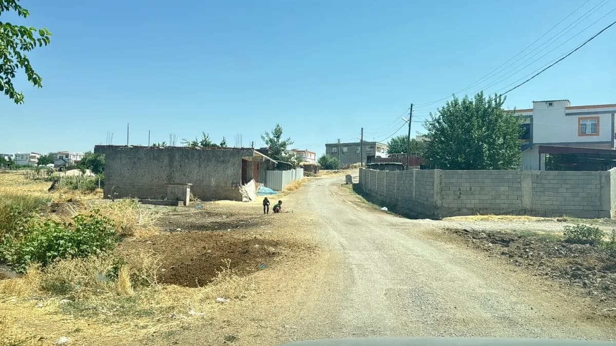Diyarbakır'da kuduz alarmı: Kedinin ısırdığı 4 yaşındaki çocuk yoğun bakımda