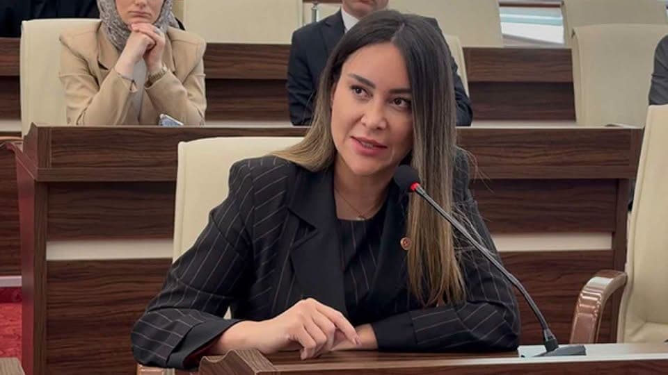 Sultangazi Belediye Meclis Üyesi Hülya Şimşek Tutuklandı