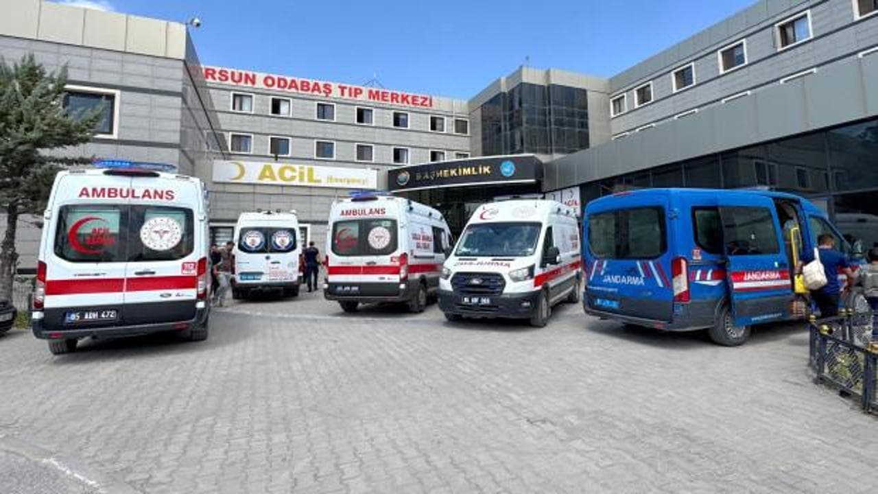 Van Gölü'nde yürek yakan olay: Suya giren 2 kardeş hayatını kaybetti