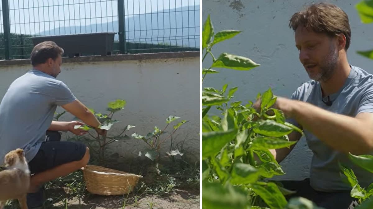 Ünlü dizi oyuncusu Gökmen Kasabalı şehir hayatını bıraktı, köyde doğal yaşama merhaba dedi