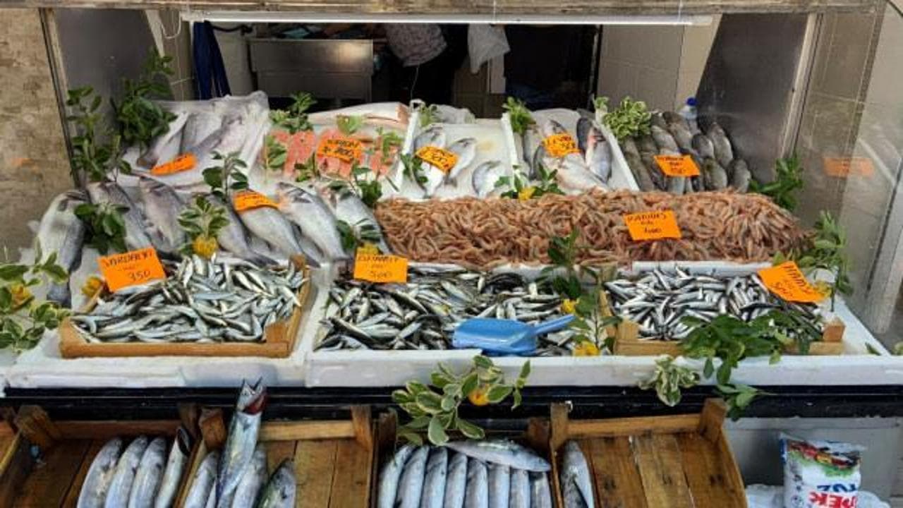Karadeniz'de Palamut Bereketi: Tezgahlar Şenlendi, Güncel Fiyatlar Belli Oldu