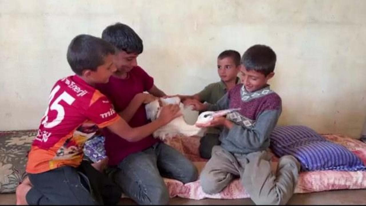 Hatay'da göç yolunda yorgun düşen leylek, aile tarafından 2 gün misafir edildi