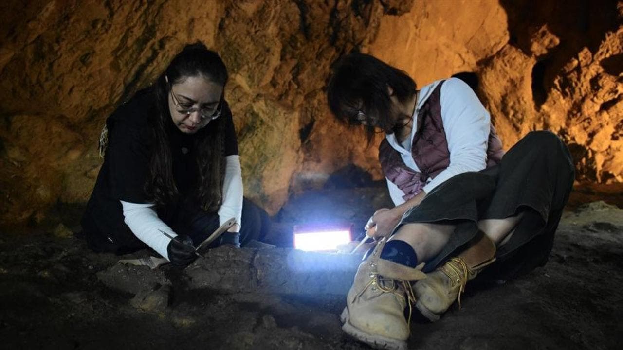 Bilecik’teki mağarada on binlerce yıllık 25 figür ortaya çıkarıldı