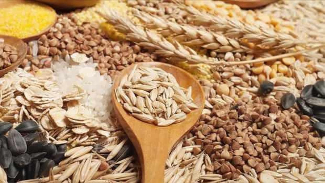 Güneydoğu Anadolu tarım ihracatında rekor: 7 ayda 2,2 milyar doları aştı