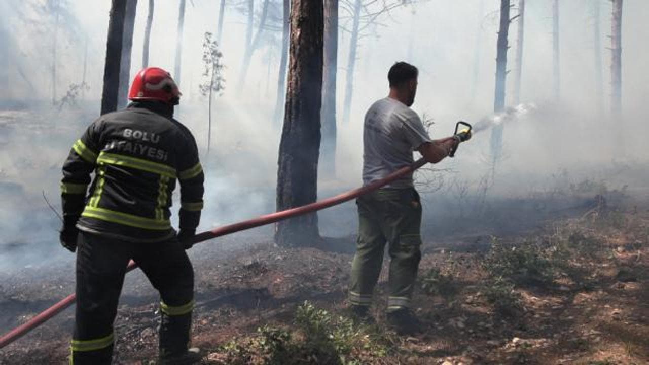Bolu'da orman yangını: Ekipler alevlere müdahaleye başladı