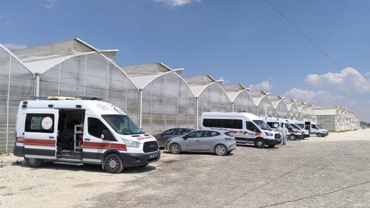 Afyonkarahisar'da serada ilaçlama faciası: 24 işçi hastaneye kaldırıldı, 10'unun durumu ağır