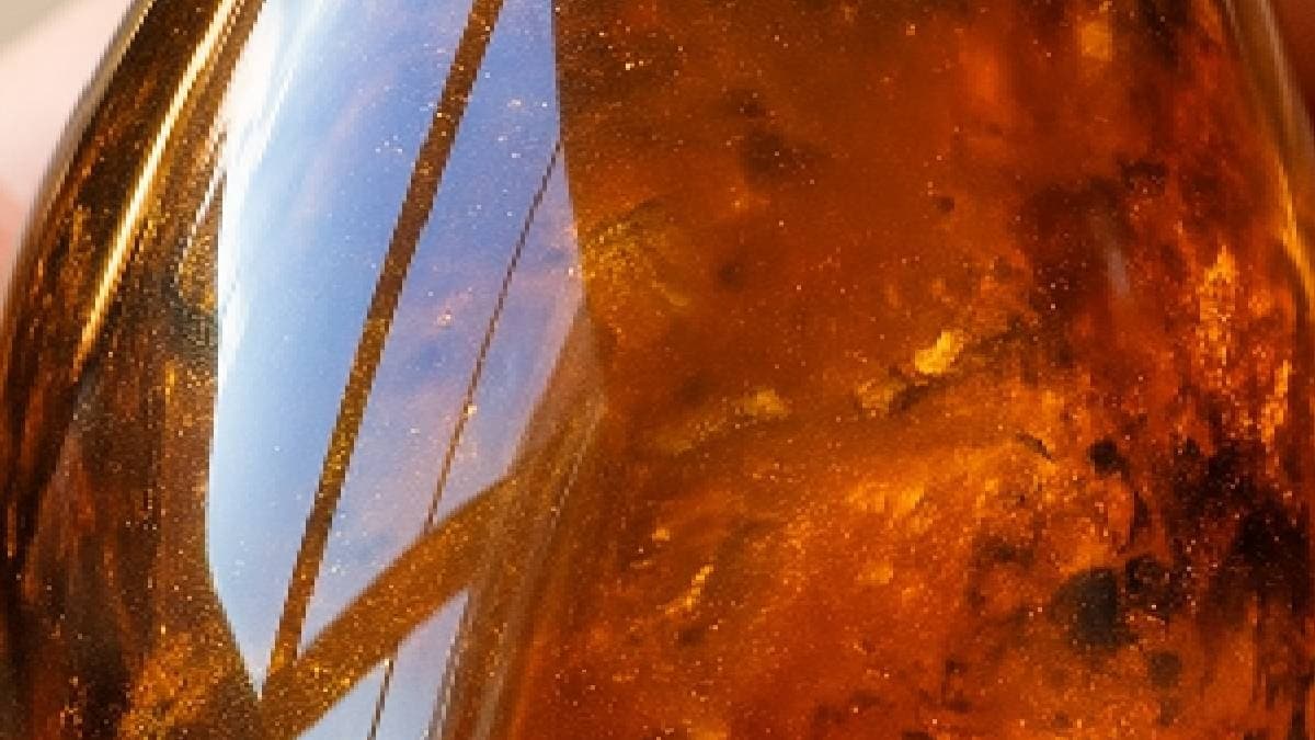 Milyonlarca Yıllık Kehribar İçinde Benzeri Görülmemiş Bir Keşif Yapıldı