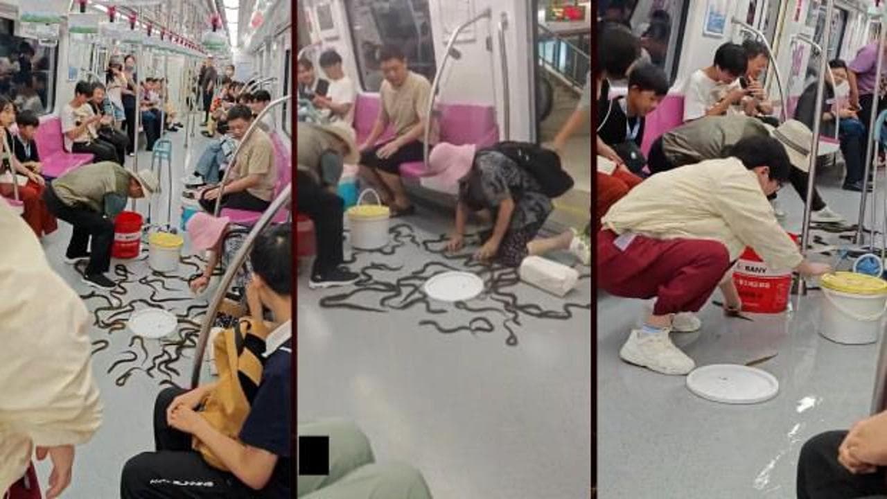Çin'de devrilen kovadan saçılan yılan balıkları metroda panik yarattı
