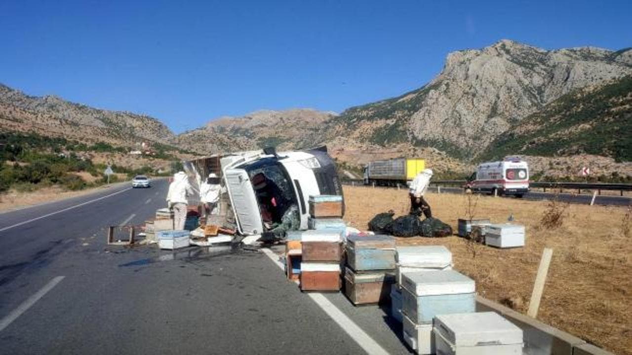 Bitlis'te arı kovanı yüklü kamyonet devrildi: 3 kişi yaralandı