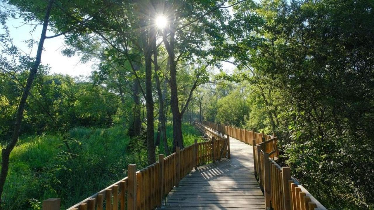 Sakarya'nın doğal güzellikleri ziyaretçi akınına uğradı: 3 ayda 550 bin kişi