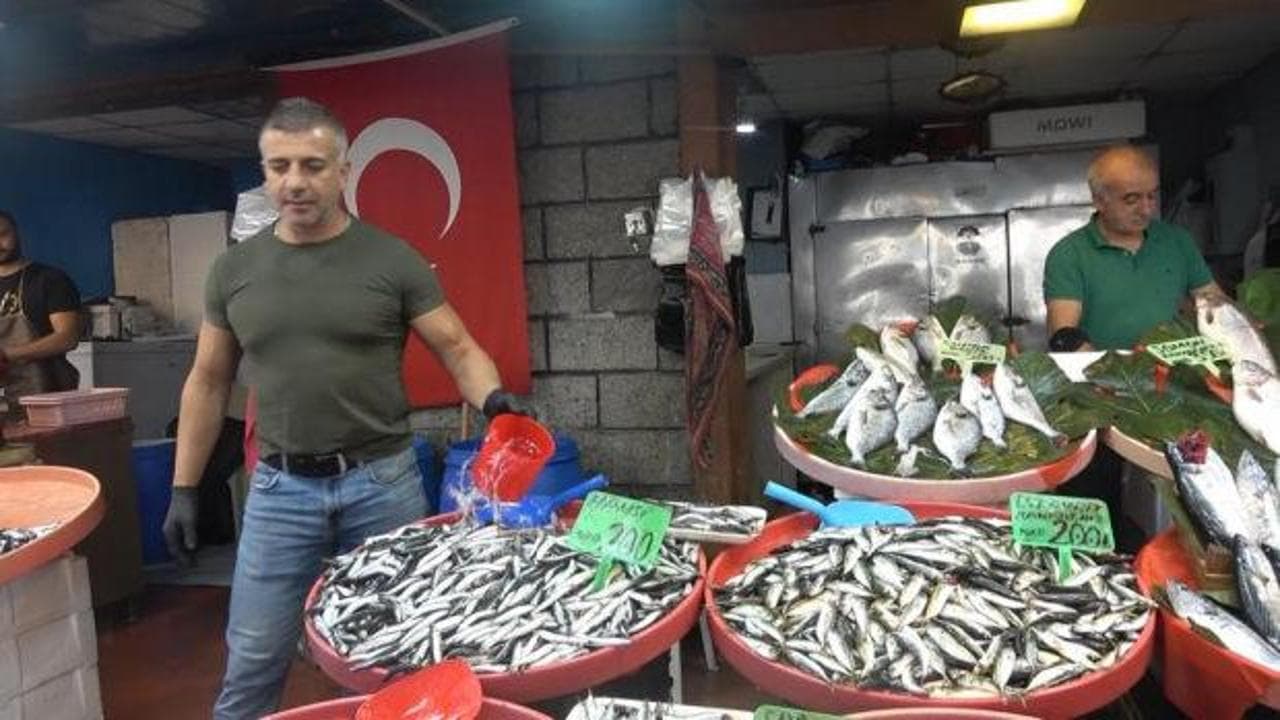 Fiyatlar düşüşte! Hamsi 150, palamut 100 TL
