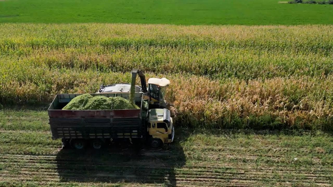 YÖK'ten tarımın geleceğine teknoloji odaklı eğitim hamlesi