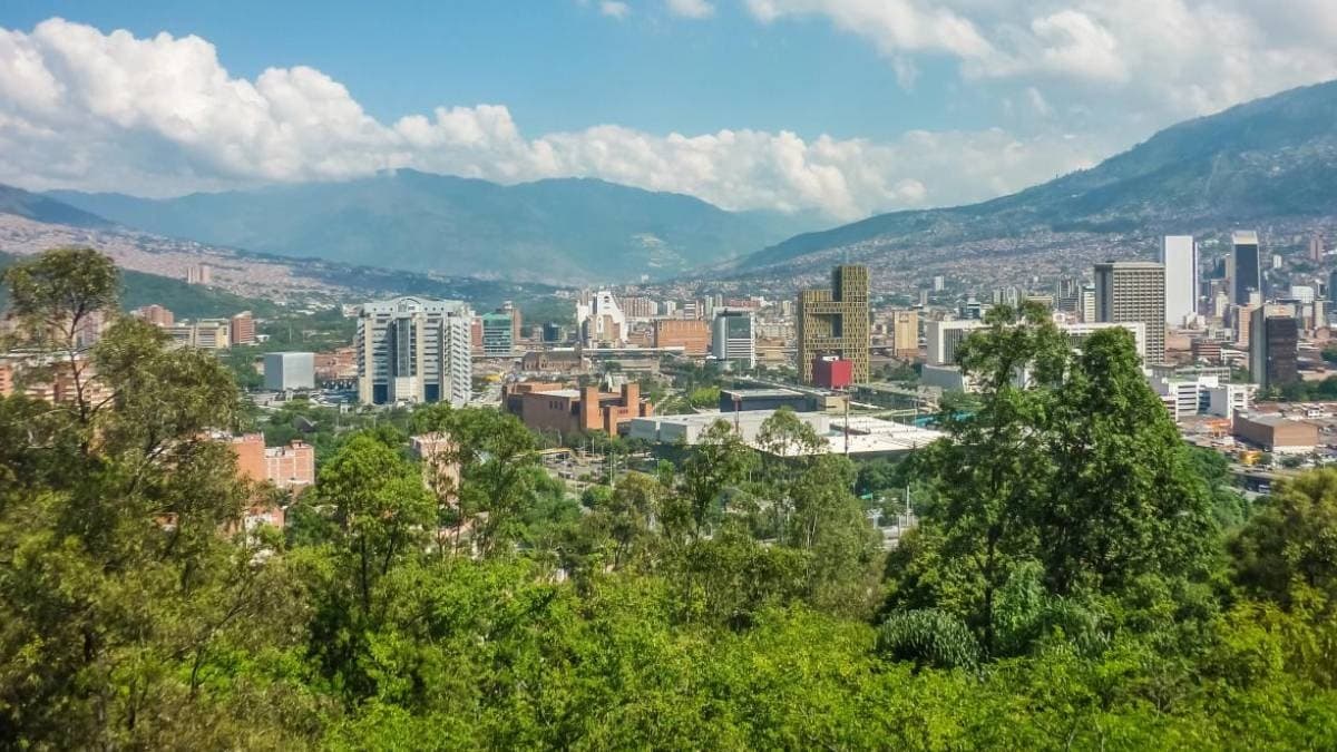 880 Bin Fidan Birden Toprakla Buluştu: Şehir Tarihi Bir Afetin Eşiğinden Döndü