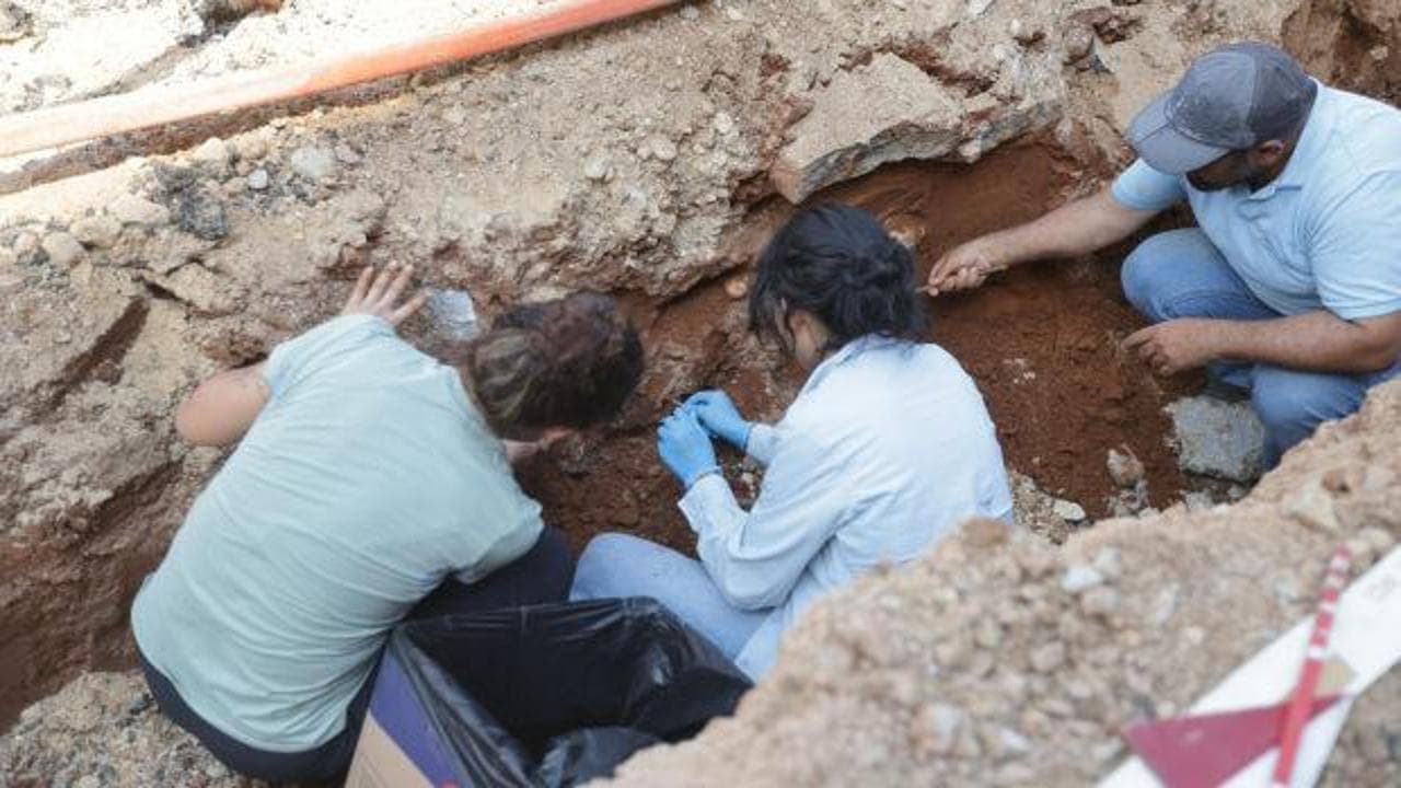 Muğla'da yol çalışmasında tarihi keşif: Asfaltın altından insan iskeleti çıktı