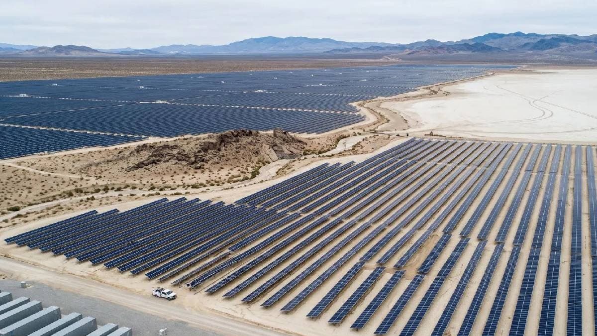 Çöle kurulan dev güneş enerjisi tesisi faciayla sonuçlandı