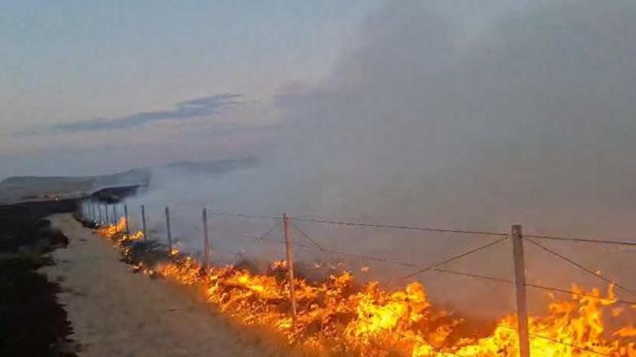 Ankara'da alkollü şüpheli kuru otları çakmakla yakarken yakalandı