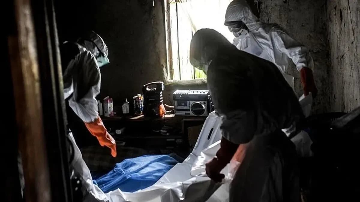 Nijerya'da Lassa ateşi kabusu büyüyor: Ölü sayısı 237'ye tırmandı