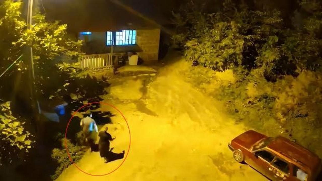 Artvin'de gece yarısı ayı korkusu: Anne ve oğul fenerle dışarı çıkınca dehşeti yaşadı