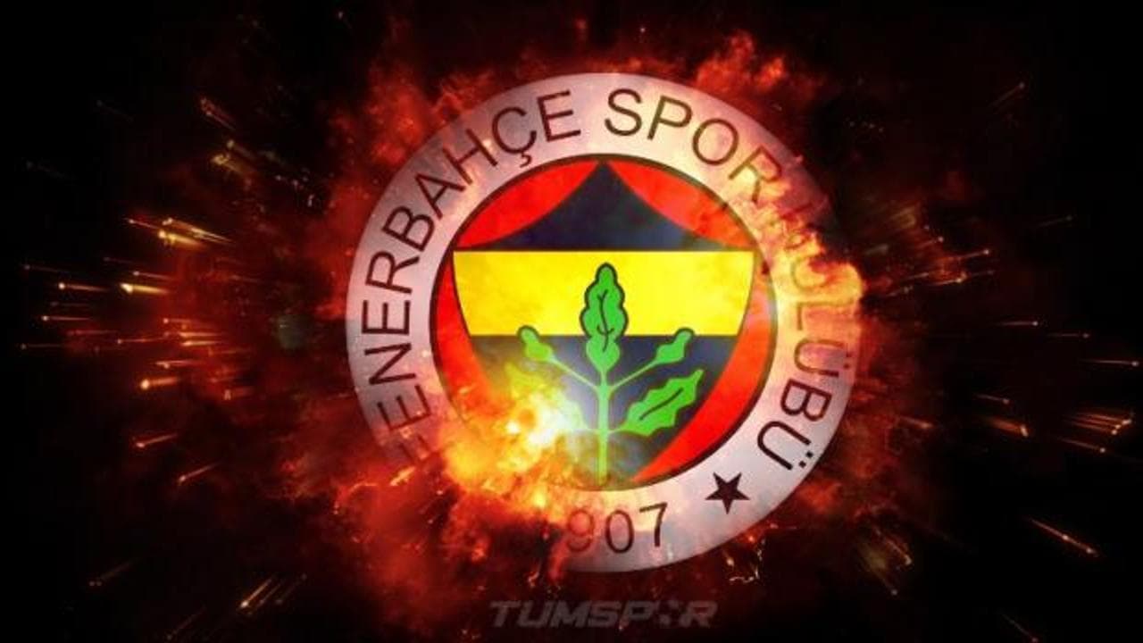 Fenerbahçe'nin Hiç Oynatmadığı Omar Fayed, Serie A Yolcusu
