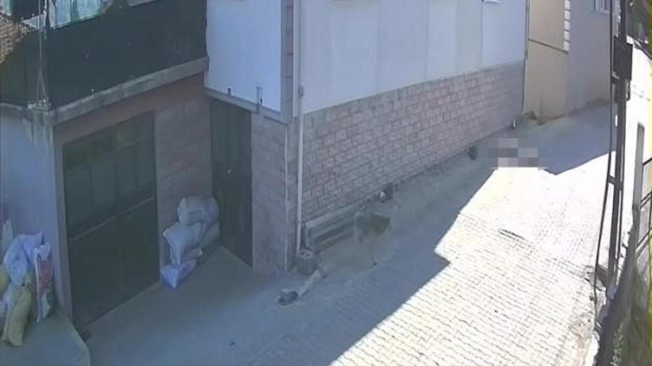 Zonguldak'ta balkondan düşen kadın hayatını kaybetti: Düşme anı kamerada