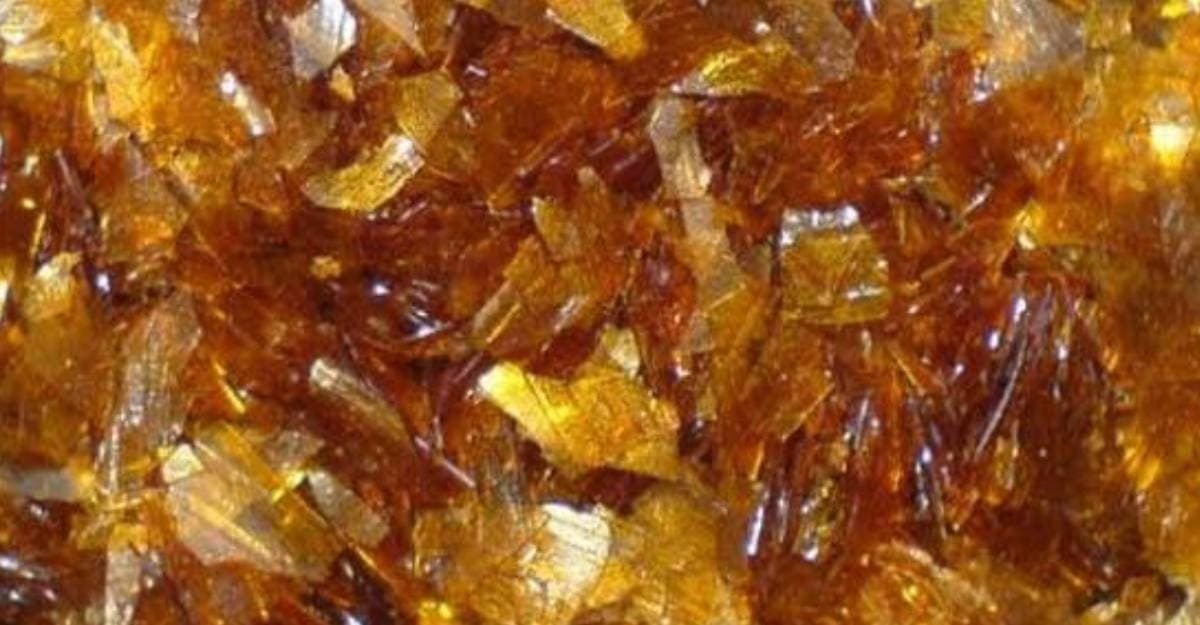 Böcek Dışkısından Üretilen Ürünün Fiyatı Milyonları Buluyor