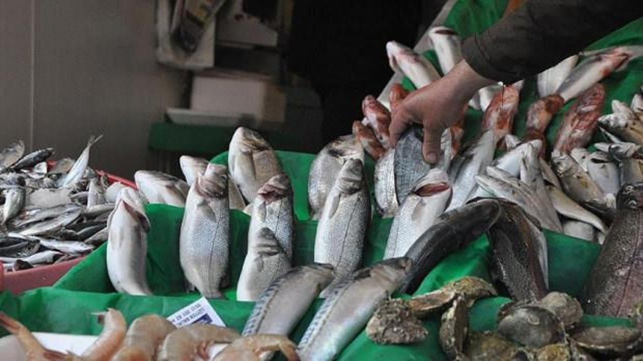 Palamut ve torik avcılığında sezon erkene çekildi: 15 Ağustos'ta başlıyor
