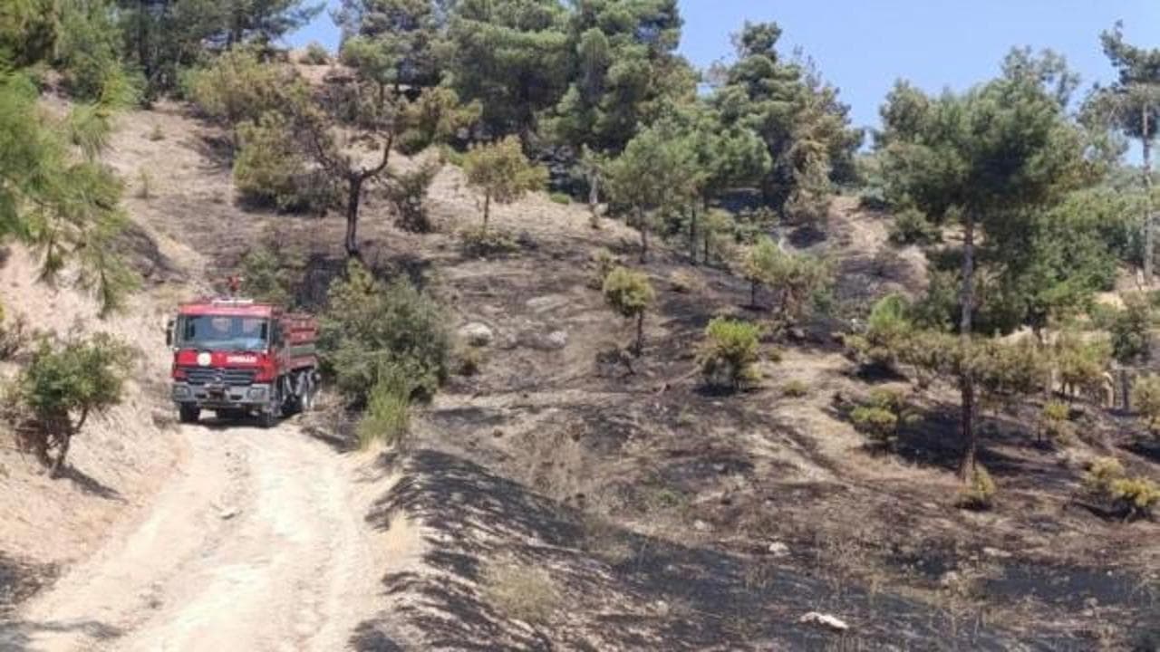 Kahramanmaraş'taki orman yangını ekiplerin yoğun çabasıyla kontrol altına alındı
