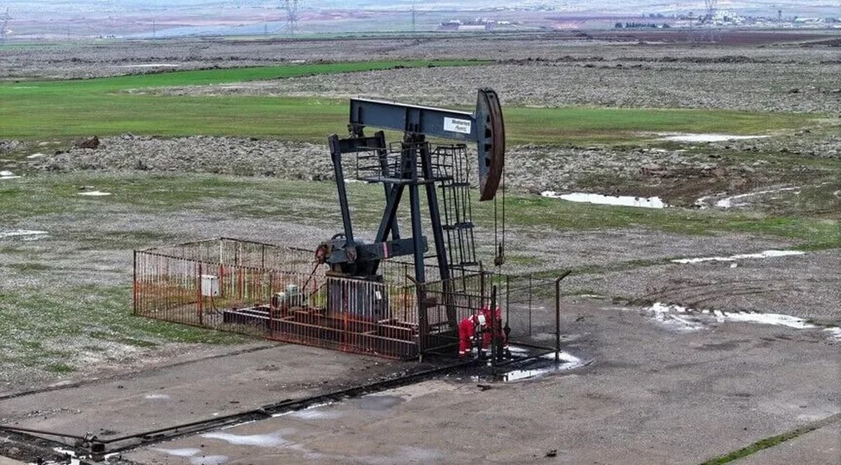 TPAO, iki ilde 5 yıl süreyle petrol arama ruhsatı aldı