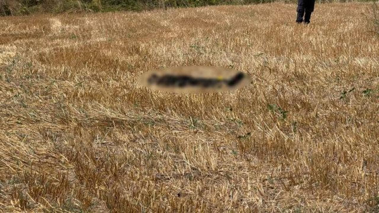 İstanbul'dan Bursa'ya uzanan esrarengiz ölüm: Kayıp yaşlı adamın cansız bedeni tarlada bulundu