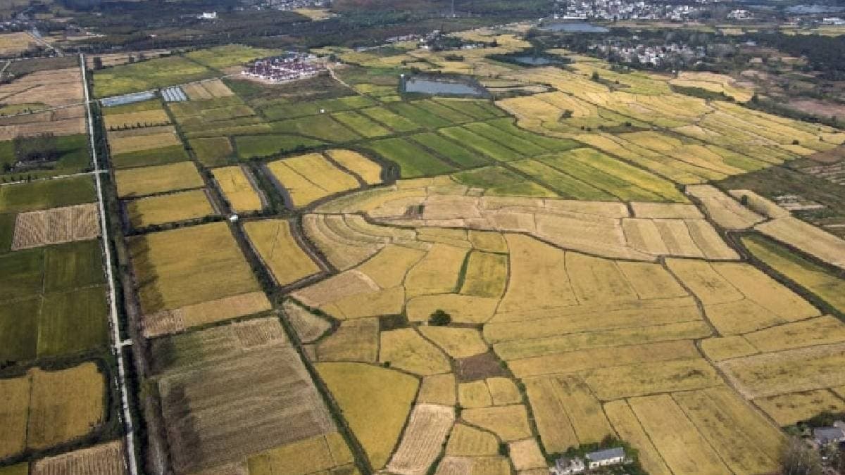 Komşu ülke 40 yaş altı gençlere ücretsiz arsa dağıtıyor