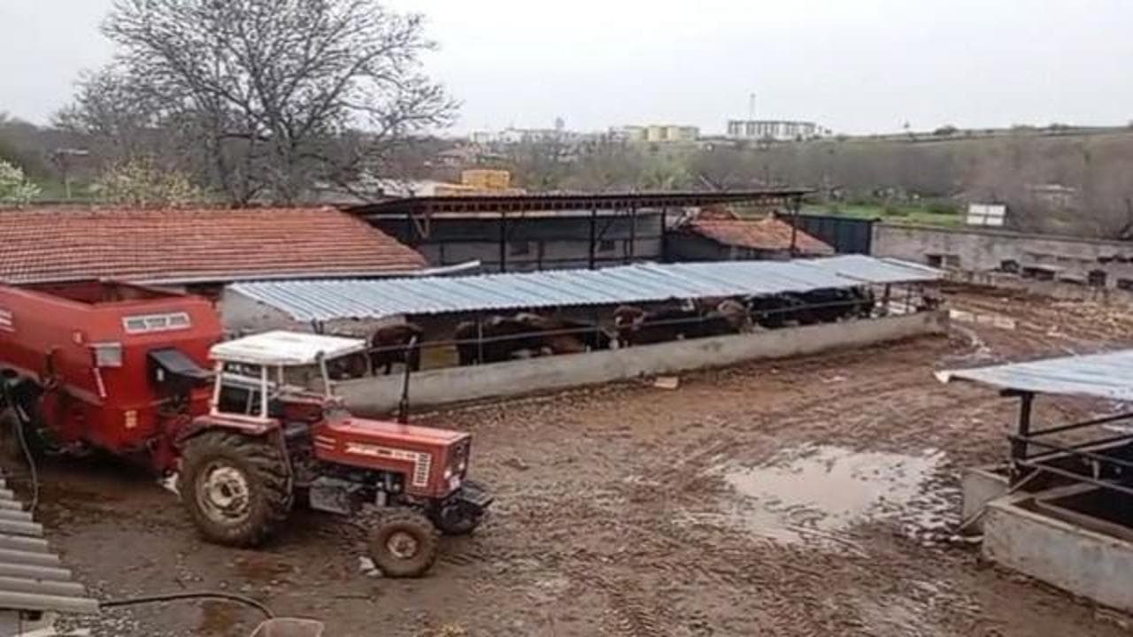 Kırşehir'de komşusunun hayvanlarını çalıp aramasına yardım eden besici şok yaşadı