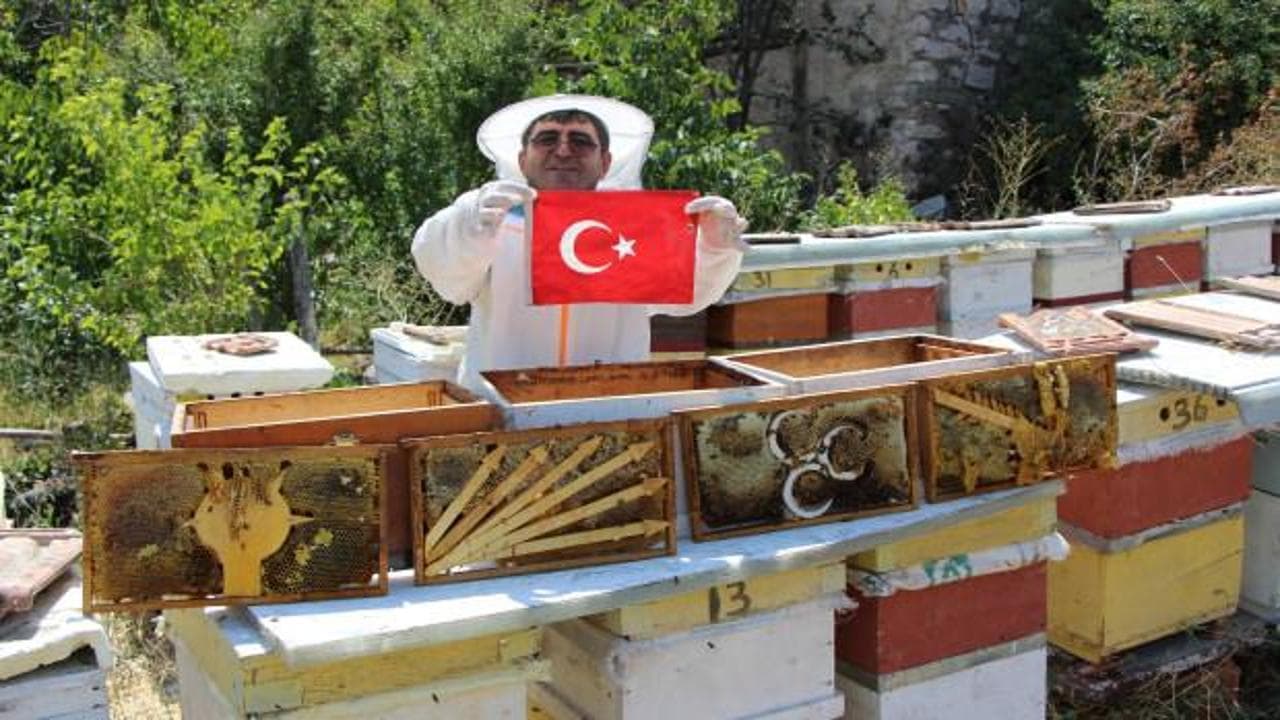 Arılar seçim yaptı: Petekler AK Parti ve Yeniden Refah Partisi'ni 'taçlandırdı'