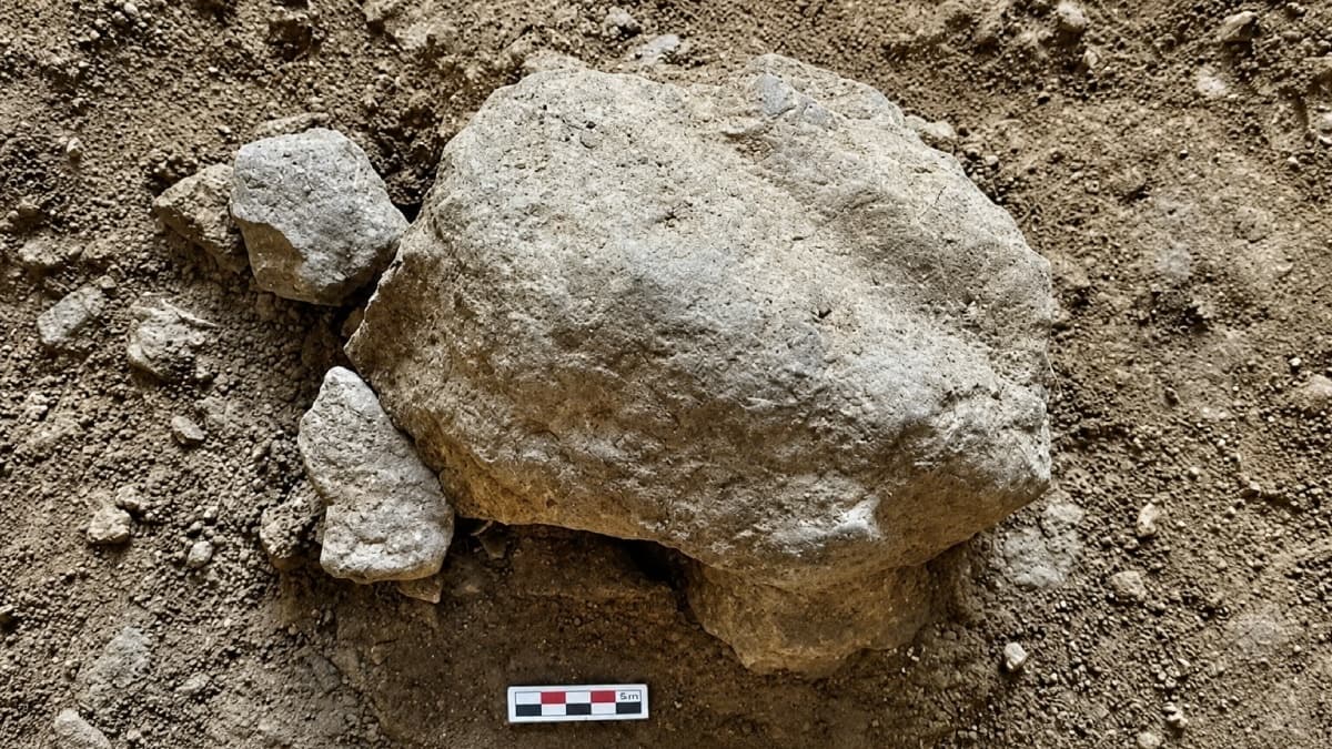 Bilecik'te 14 bin 500 yıllık kaplumbağa fosili gün yüzüne çıkarıldı